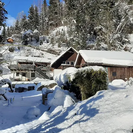 Feld Am Near Slopes 公寓